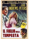 Figlio Della Tempesta (Il)