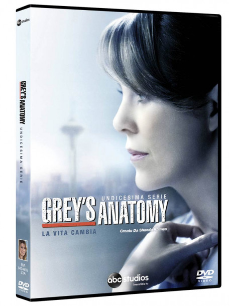 Grey's Anatomy - Stagione 11 (6 Dvd)