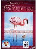 Mistero Dei Fenicotteri Rosa (Il)