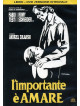 Importante E' Amare (L') (Dvd+Libro)