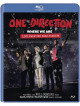 One Direction - Where We Are Live From San Siro Stadium