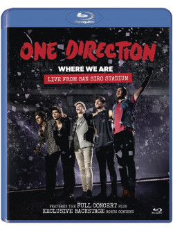 One Direction - Where We Are Live From San Siro Stadium