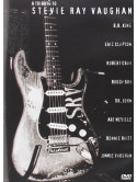 Tribute To Stevie Ray Vaughan (A)