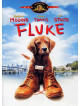 Fluke