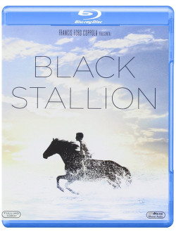 Black Stallion