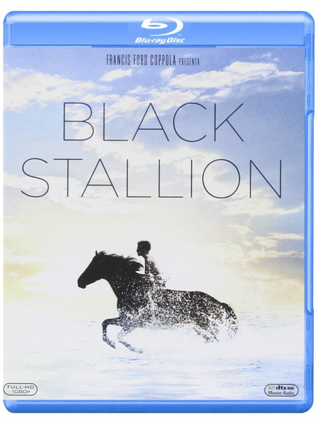 Black Stallion
