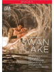 Lago Dei Cigni (Il) / Swan Lake