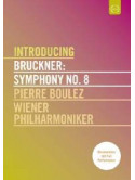 Bruckner - Symphony No.8 (Introducing)