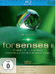 Forsenses II - Timber Lounge