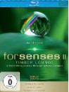 Forsenses II - Timber Lounge