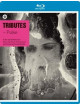 Tributes - Pulse