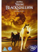 Young Black Stallion [Edizione: Regno Unito]