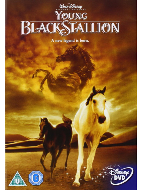 Young Black Stallion [Edizione: Regno Unito]
