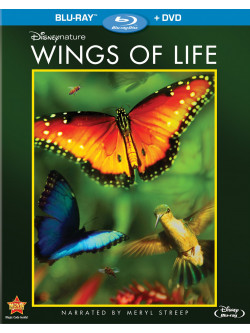 Wings Of Life (Blu-Ray+Dvd) [Edizione: Regno Unito]