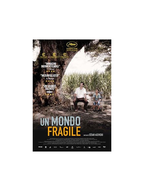 Mondo Fragile (Un)