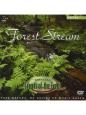 Sounds Of The Earth - Forest Stream (Dvd Audio)