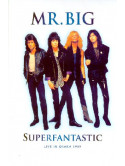 Mr. Big - Superfantastic Live In Osaka 1999