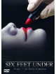 Six Feet Under - Stagione 01 (5 Dvd)