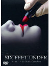 Six Feet Under - Stagione 01 (5 Dvd)