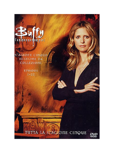 Buffy L'Ammazzavampiri - Stagione 05 Box Set (6 Dvd)