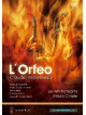 Orfeo (L')