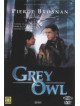 Grey Owl