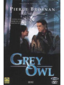 Grey Owl