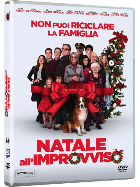 Natale All'Improvviso