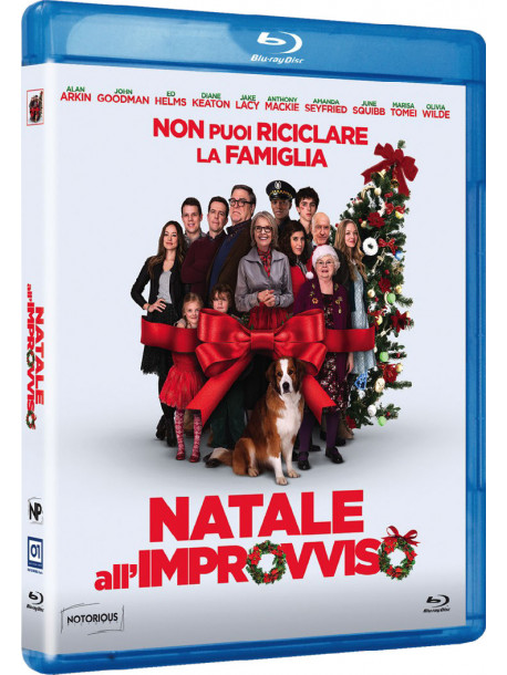 Natale All'Improvviso