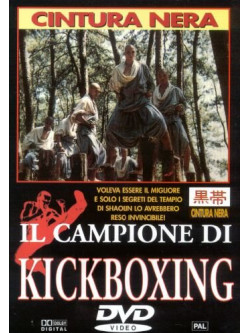 Campione Di Kickboxing (Il)