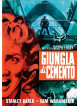 Giungla Di Cemento