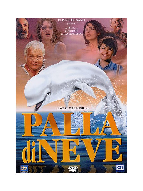 Palla Di Neve