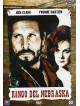 Ringo Del Nebraska