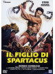 Figlio Di Spartacus (Il)