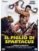 Figlio Di Spartacus (Il)