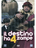 Destino Ha 4 Zampe (Il)