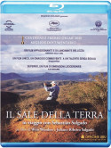 Sale Della Terra (Il)