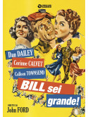 Bill Sei Grande!