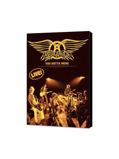 Aerosmith - You Gotta Move Live