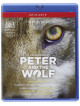 Peter And The Wolf
