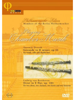 Playing Chamber Music