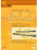 Playing Chamber Music