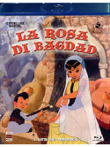 Rosa Di Bagdad (La)