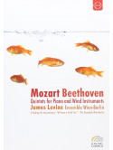 Beethoven / Mozart - Quintets For Piano And Wind Instruments