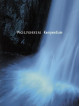 Wolfsheim - Kompendium