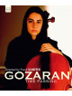 Gozaran - Time Passing (Documentario Su Nader Mashayekhi)