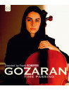 Gozaran - Time Passing (Documentario Su Nader Mashayekhi)
