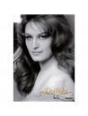Dalida - Une Vie Vol.2
