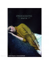 Indochine - Hanoi