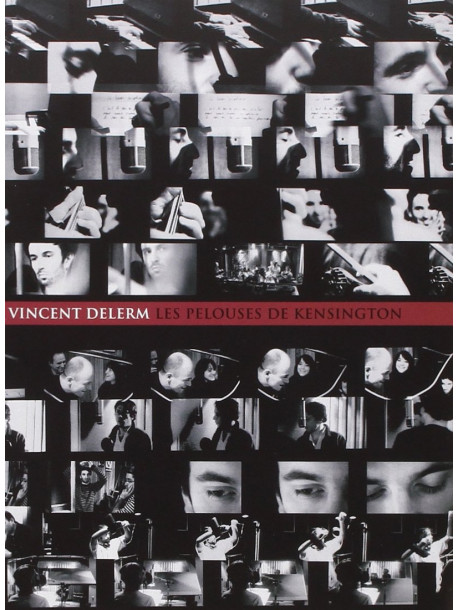 Vincent Delerm - Pelouses